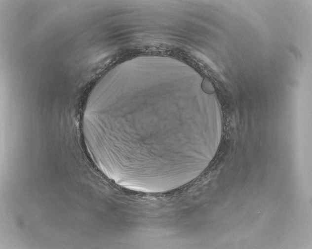 X0000115261013200911271921