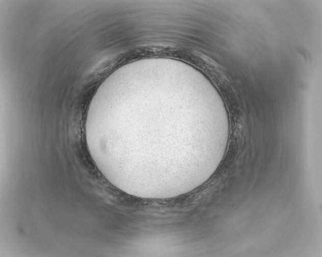 X0000115261014200911271921