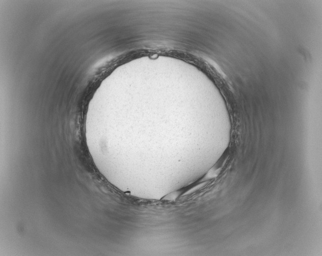 X0000115261016200911271921