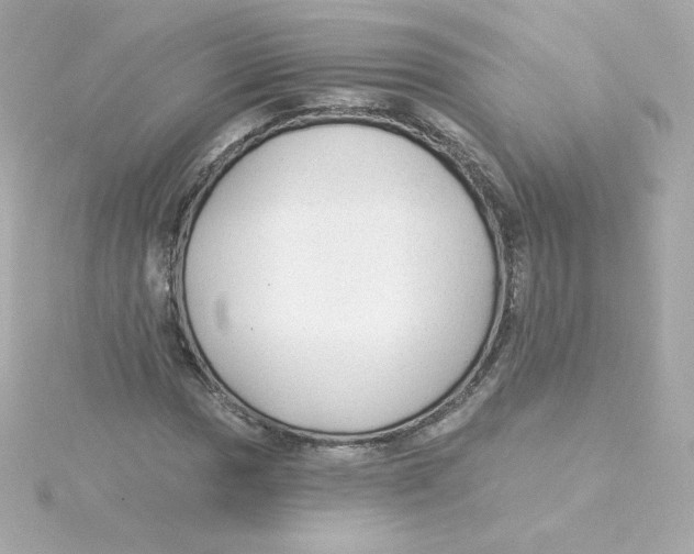 X0000115261017200911271921