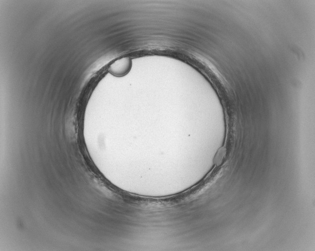 X0000115261018200911271921