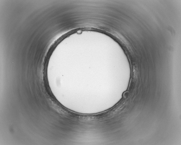 X0000115261020200911271921