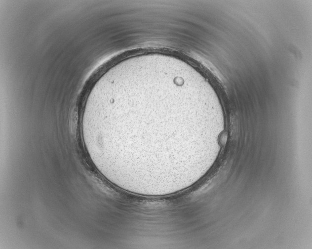 X0000115261021200911271921