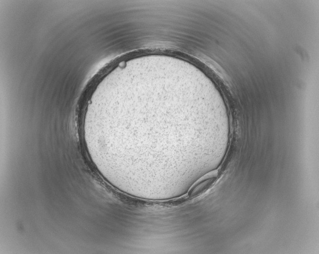 X0000115261022200911271921