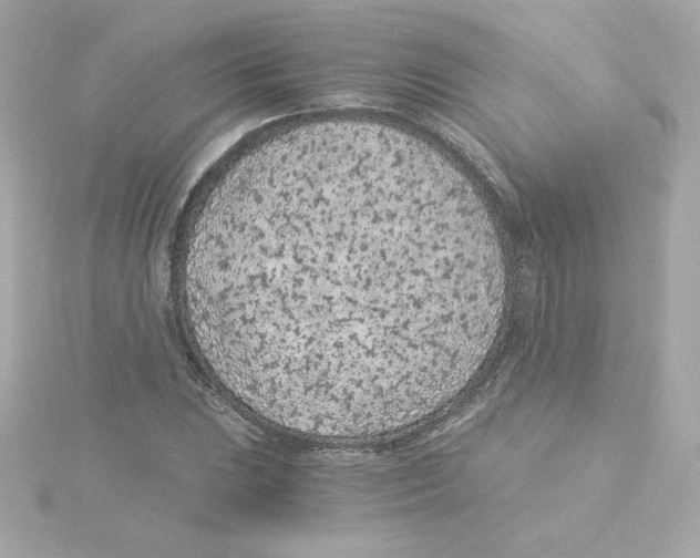 X0000115261023200911271921