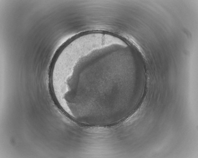 X0000115261024200911271921