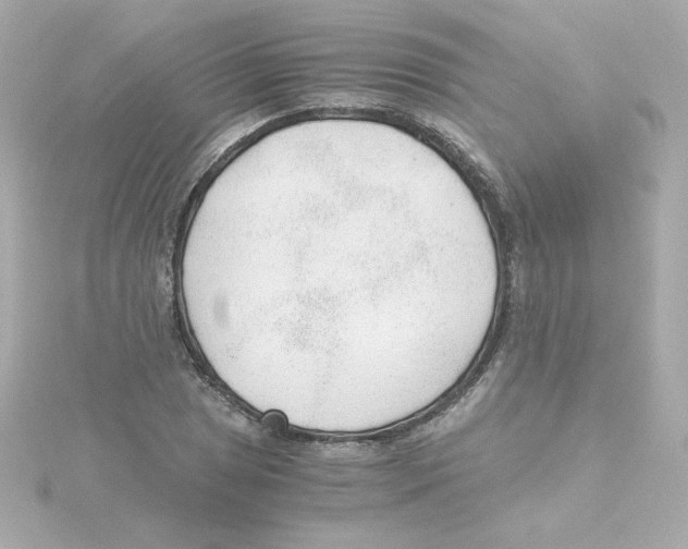 X0000115261025200911271921