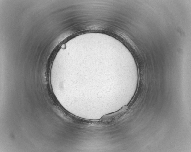 X0000115261026200911271921