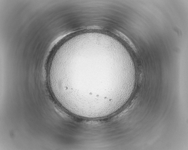 X0000115261027200911271921