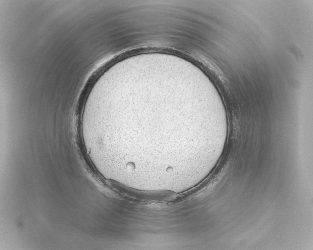 X0000115261029200911271921