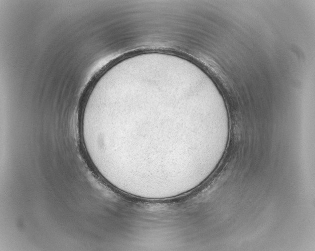 X0000115261030200911271921