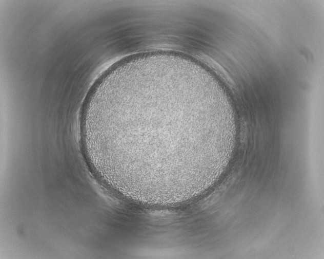 X0000115261031200911271921