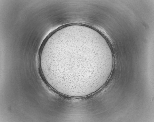 X0000115261032200911271921