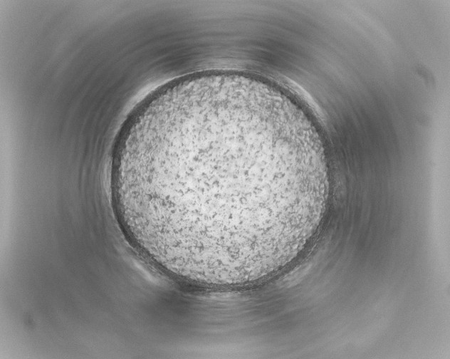 X0000115261035200911271921