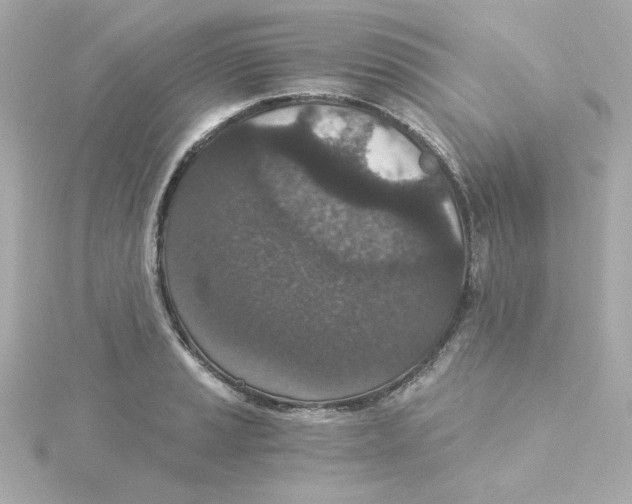 X0000115261037200911271921