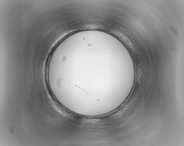 X0000115261039200911271921