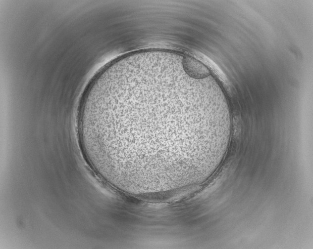 X0000115261043200911271921