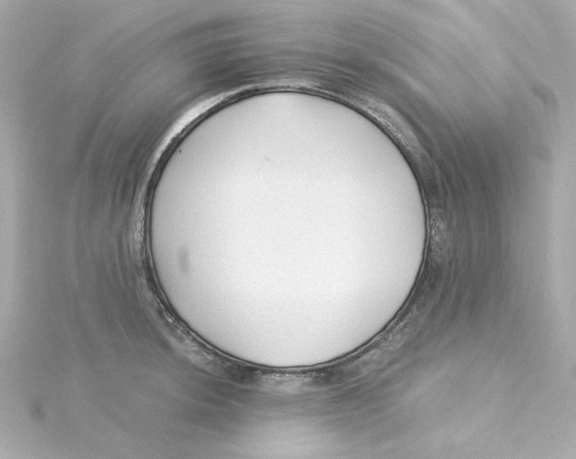 X0000115261044200911271921