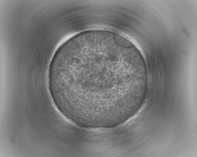 X0000115261045200911271921