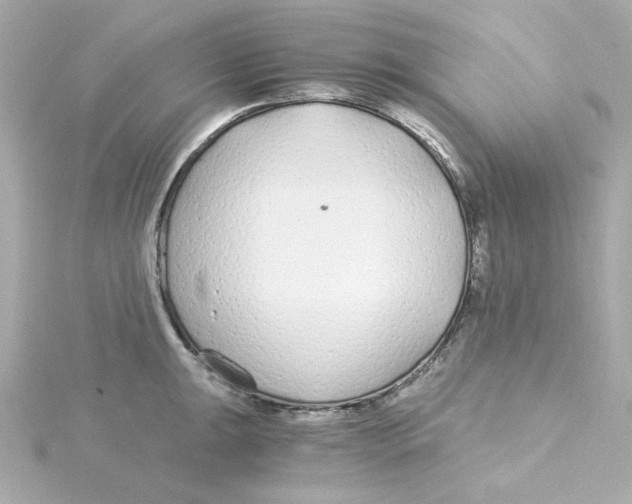 X0000115261047200911271921