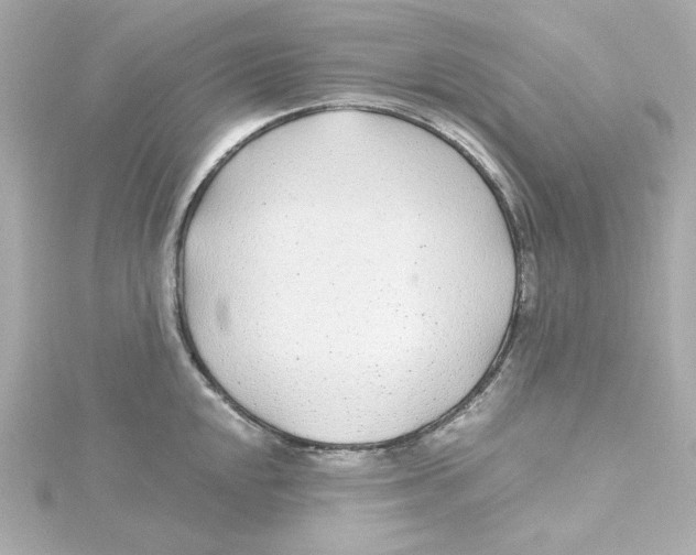 X0000115261048200911271921