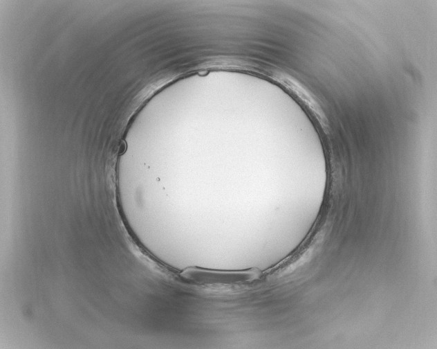 X0000115261049200911271921