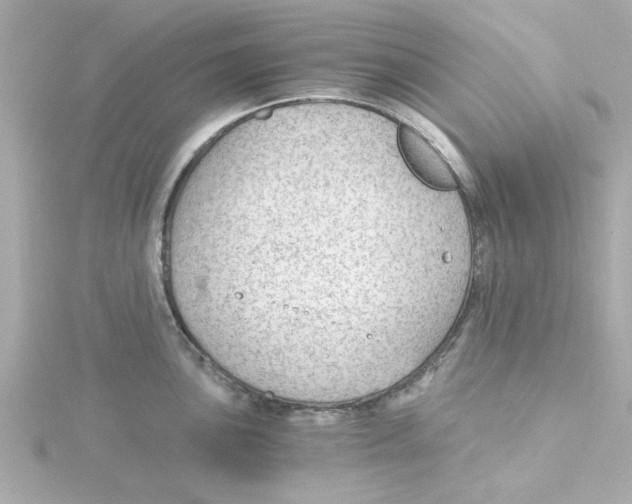 X0000115261051200911271922