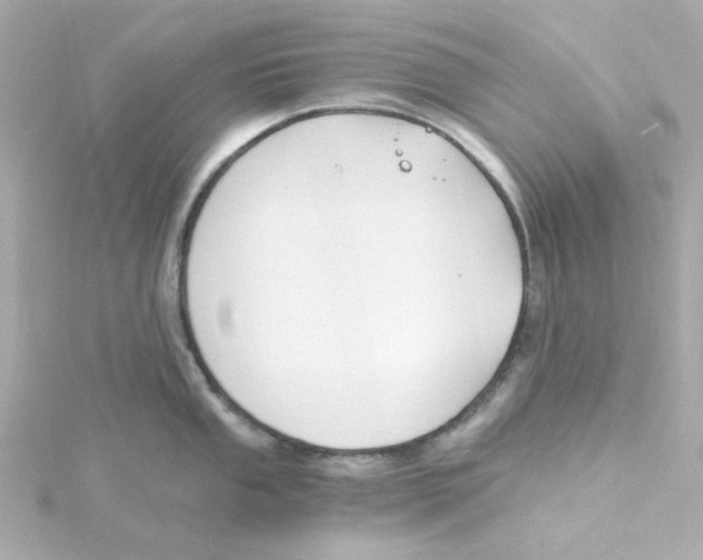 X0000115261053200911271922