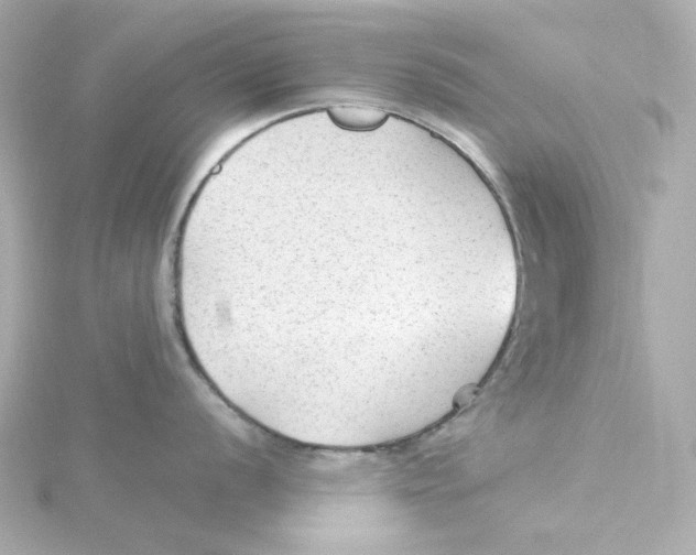 X0000115261056200911271922