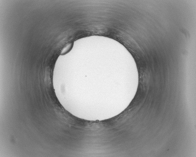 X0000115261058200911271921