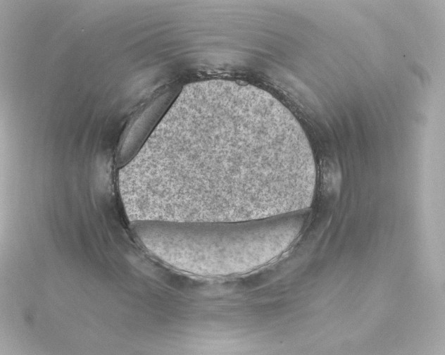 X0000115261060200911271921