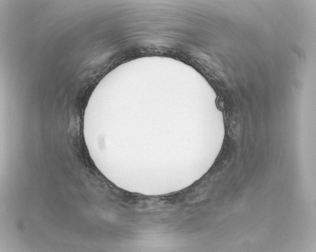 X0000115261061200911271921