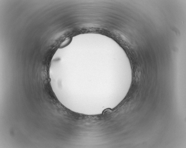 X0000115261062200911271921