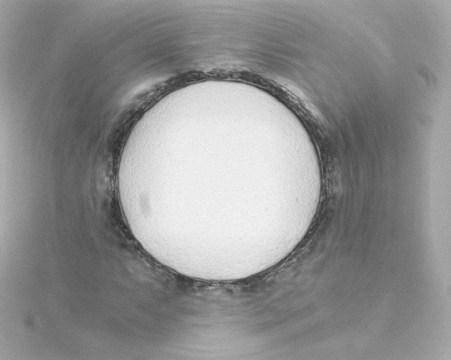 X0000115261063200911271921