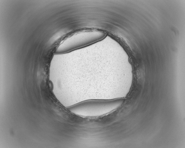 X0000115261064200911271921