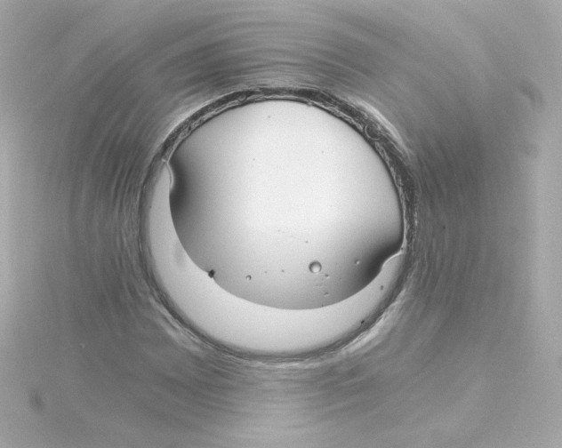 X0000115261065200911271921