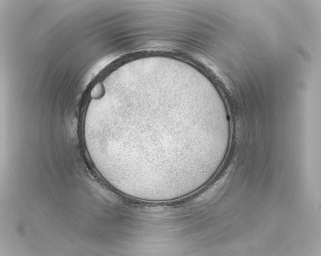 X0000115261066200911271921