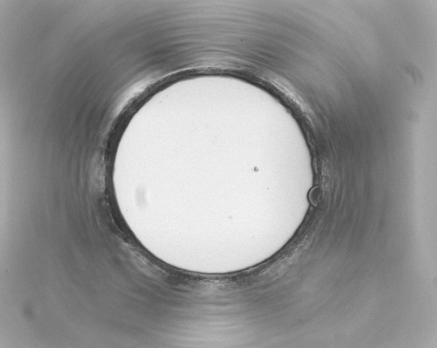 X0000115261067200911271921