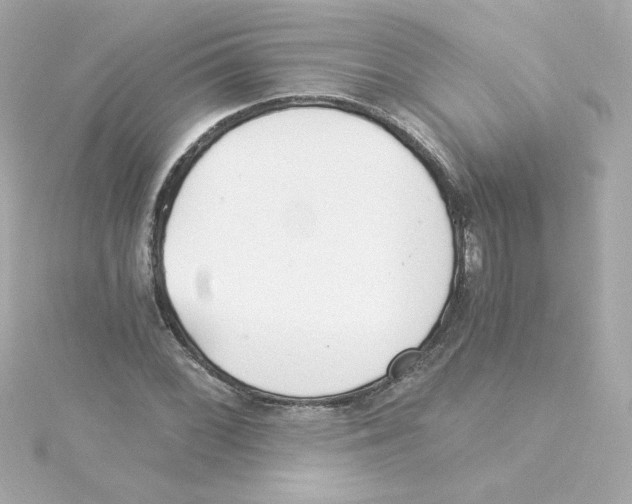 X0000115261068200911271921