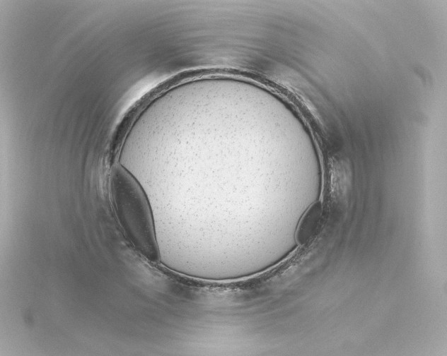 X0000115261069200911271921