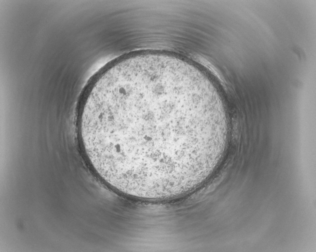 X0000115261071200911271921