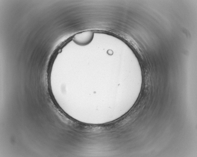 X0000115261072200911271921