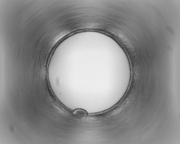 X0000115261073200911271921