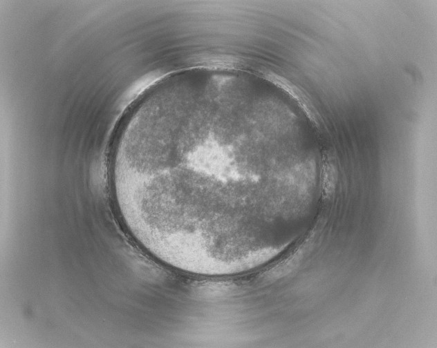 X0000115261074200911271921