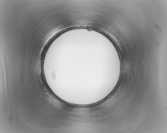 X0000115261075200911271921