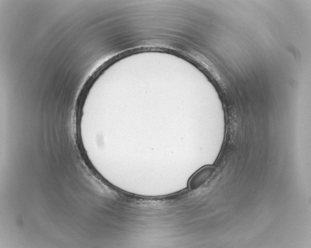 X0000115261076200911271921