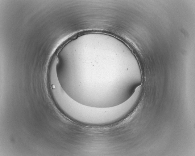 X0000115261077200911271921