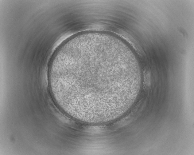 X0000115261078200911271921