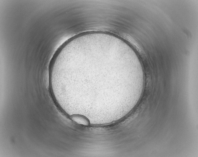 X0000115261079200911271921