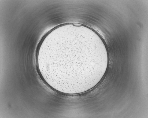 X0000115261080200911271921